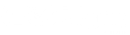Entorno Interno Empresarial