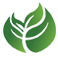 Hoja